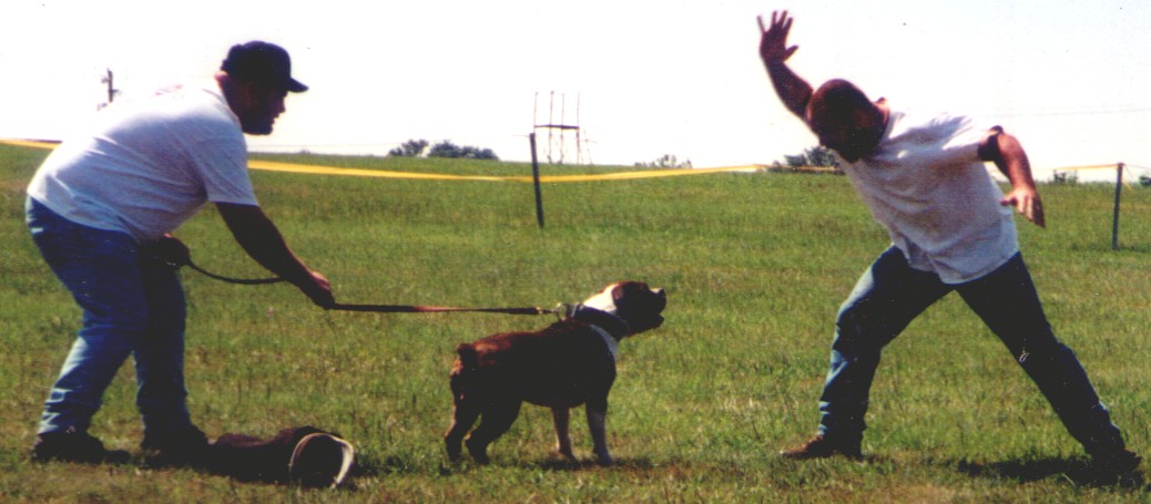 groundbreakersbruza.jpg